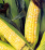 Sweet Corn .png